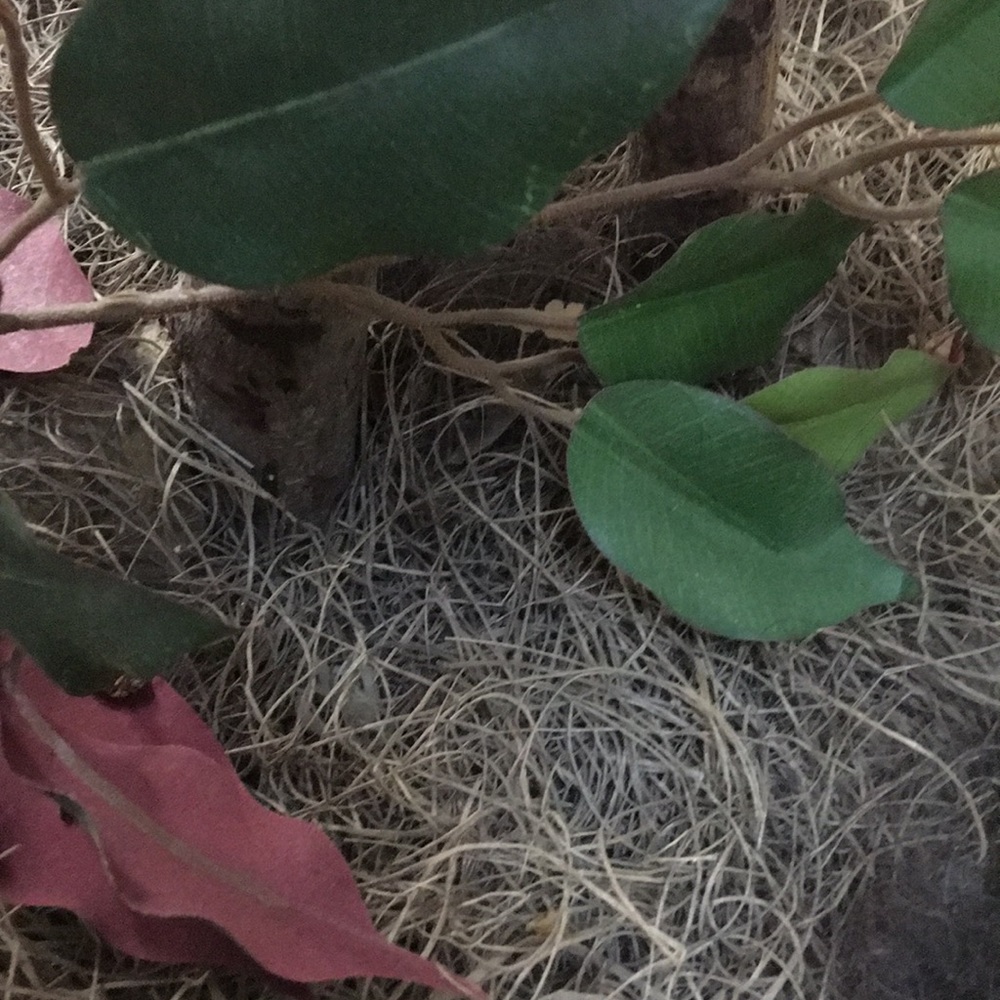 Meet your Posher, Kristy